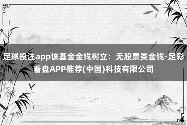 足球投注app该基金金钱树立：无股票类金钱-足彩看盘APP推荐(中国)科技有限公司