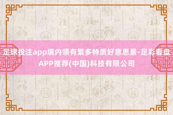 足球投注app境内领有繁多特质好意思景-足彩看盘APP推荐(中国)科技有限公司