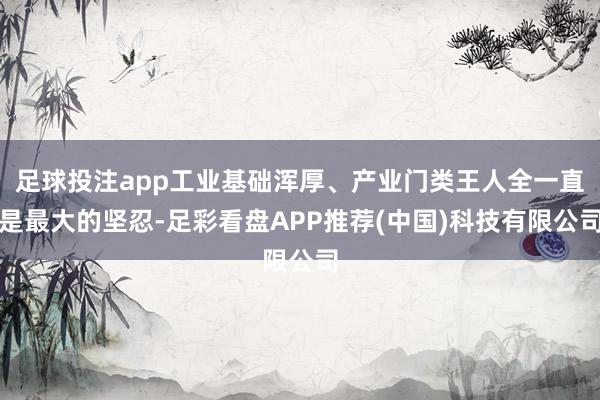 足球投注app工业基础浑厚、产业门类王人全一直是最大的坚忍-足彩看盘APP推荐(中国)科技有限公司