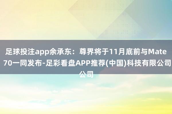 足球投注app余承东：尊界将于11月底前与Mate 70一同发布-足彩看盘APP推荐(中国)科技有限公司