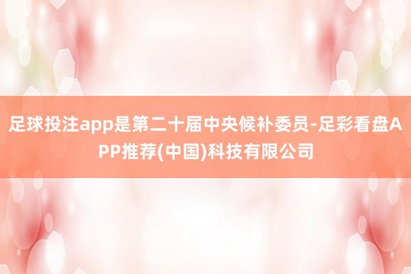 足球投注app是第二十届中央候补委员-足彩看盘APP推荐(中国)科技有限公司