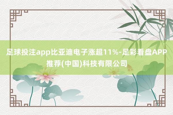 足球投注app比亚迪电子涨超11%-足彩看盘APP推荐(中国)科技有限公司