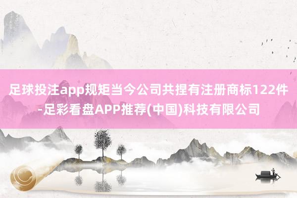 足球投注app规矩当今公司共捏有注册商标122件-足彩看盘APP推荐(中国)科技有限公司