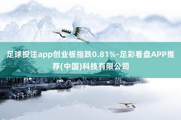 足球投注app创业板指跌0.81%-足彩看盘APP推荐(中国)科技有限公司