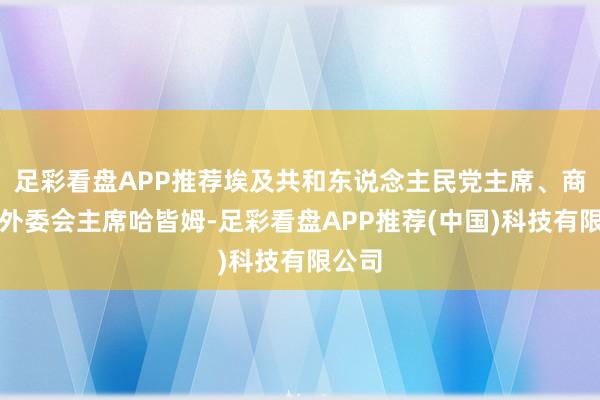 足彩看盘APP推荐埃及共和东说念主民党主席、商议院外委会主席哈皆姆-足彩看盘APP推荐(中国)科技有限公司