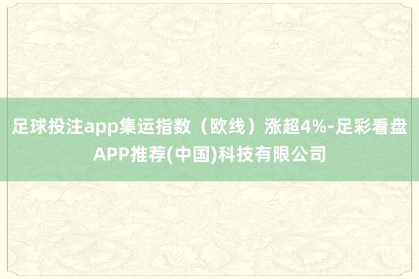 足球投注app集运指数(欧线)涨超4%-足彩看盘APP推荐(中国)科技有限公司