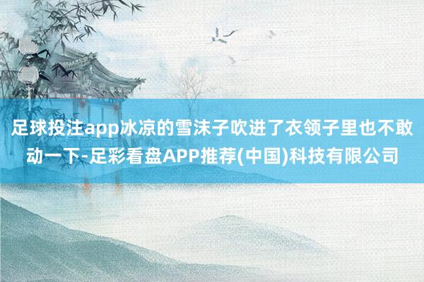 足球投注app冰凉的雪沫子吹进了衣领子里也不敢动一下-足彩看盘APP推荐(中国)科技有限公司