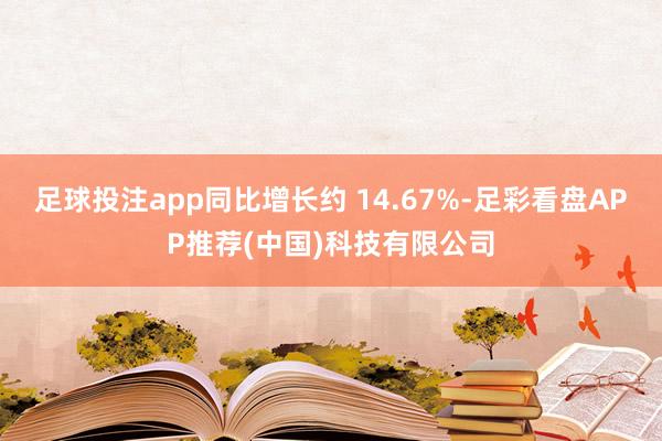 足球投注app同比增长约 14.67%-足彩看盘APP推荐(中国)科技有限公司