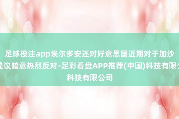 足球投注app埃尔多安还对好意思国近期对于加沙的提议暗意热烈反对-足彩看盘APP推荐(中国)科技有限公司