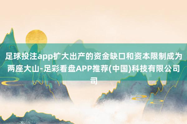 足球投注app扩大出产的资金缺口和资本限制成为两座大山-足彩看盘APP推荐(中国)科技有限公司