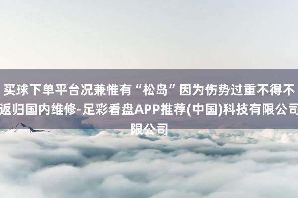 买球下单平台况兼惟有“松岛”因为伤势过重不得不返归国内维修-足彩看盘APP推荐(中国)科技有限公司