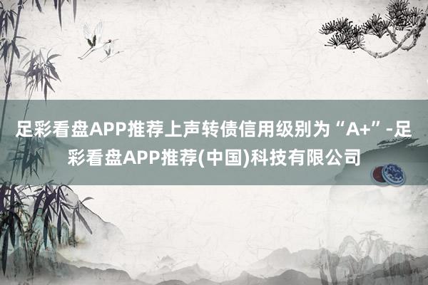 足彩看盘APP推荐上声转债信用级别为“A+”-足彩看盘APP推荐(中国)科技有限公司