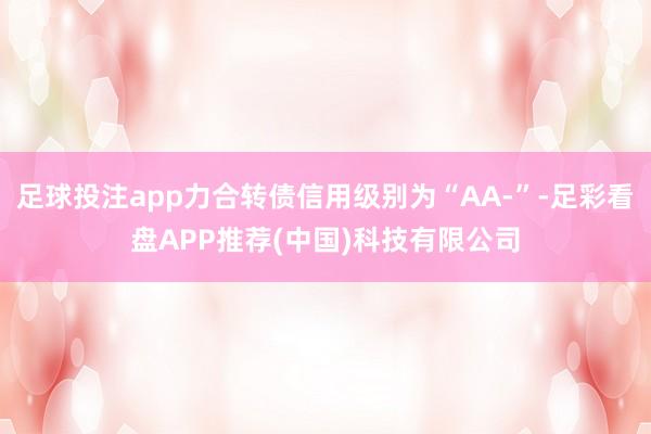 足球投注app力合转债信用级别为“AA-”-足彩看盘APP推荐(中国)科技有限公司